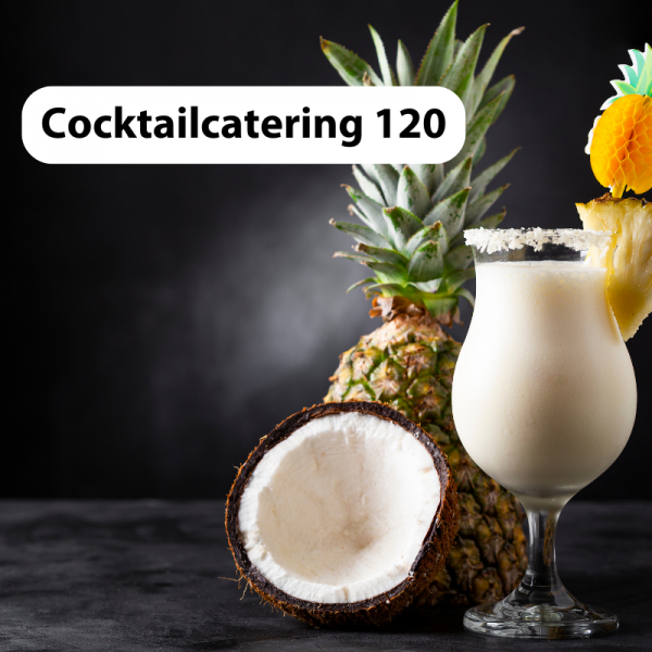 Cocktailcatering 120