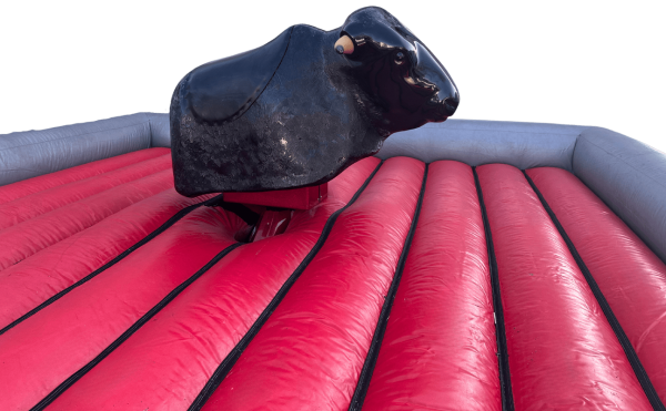 Bullriding bis zu 6 Stunden Aktionszeit