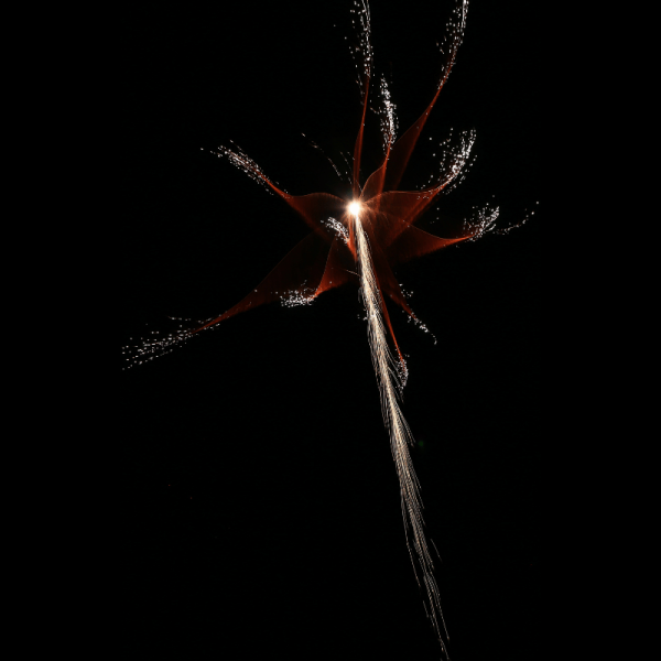 Raketenfeuerwerk Bang & Scream